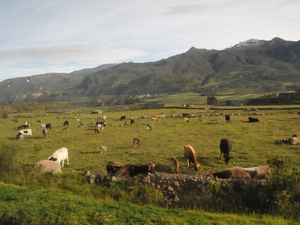 dolina rzeki Colca