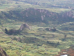 dolina rzeki Colca