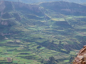 dolina rzeki Colca