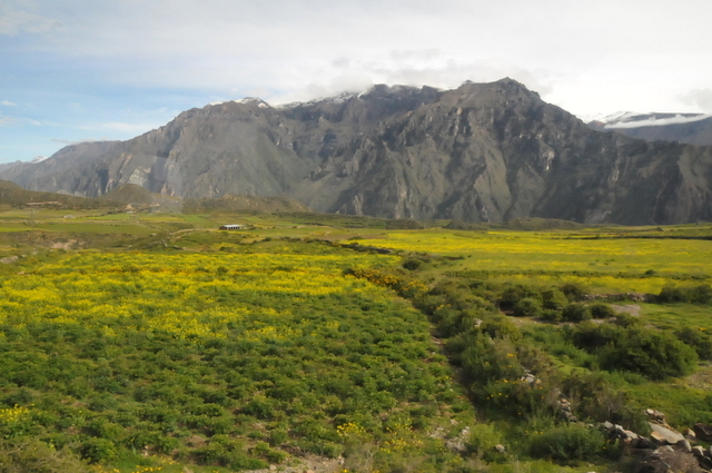 dolina rzeki Colca