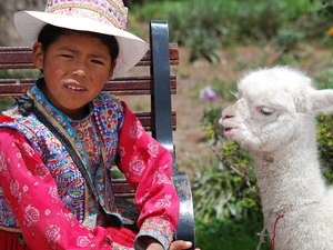 453795 - Chivay kanion Colca