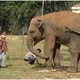 Spotkanie ze słoniem w Singun