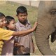 Spotkanie ze słoniem