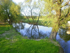 Wiosna - nad Drwęcą