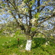 Wiosna - okolice Lubawy