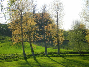 Wiosna - okolice Lubawy