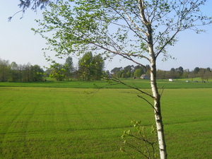 Wiosna - okolice Lubawy