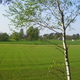 Wiosna - okolice Lubawy