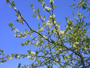 Wiosna - okolice Lubawy