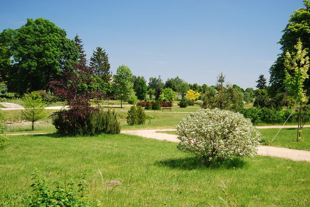 park dworski