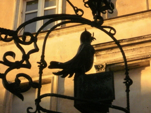 Toruń (1)