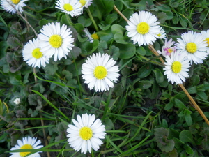 Wiosna - Ostróda