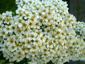 Wiosna - Ostróda