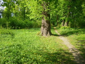 Wiosna - Ostróda