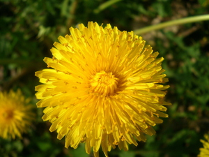Wiosna - Ostróda