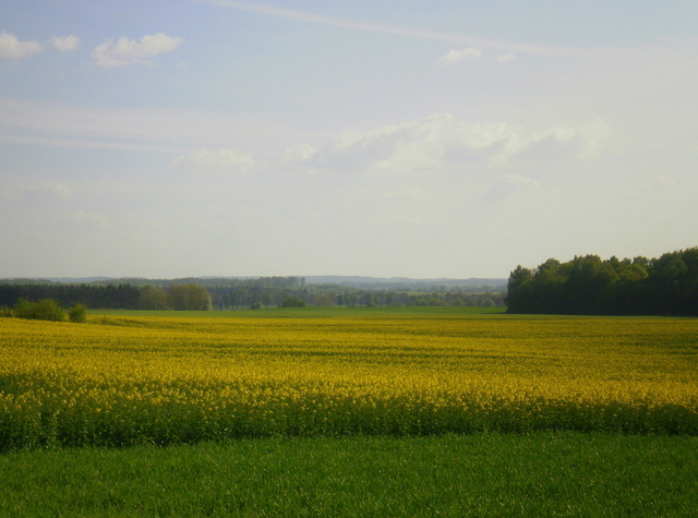 Wiosna - okolice Ostródy