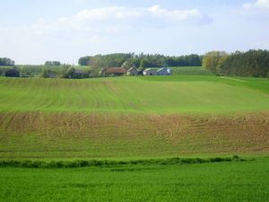 Wiosna - okolice Ostródy