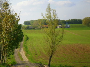Wiosna - okolice Ostródy