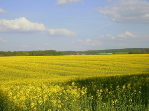 Wiosna - okolice Ostródy