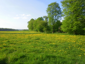 Wiosna - okolice Ostródy