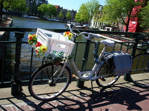 Amsterdam 101
