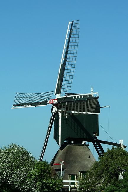 Holandia 06