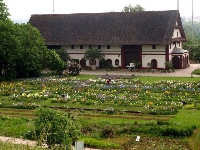 1 Bazylea     Merian Park  Botanischer Garten in Bruglingen AG