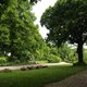 30 Bazylea     Merian Park  Botanischer Garten in Bruglingen AG