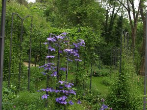 36 Bazylea     Merian Park  Botanischer Garten in Bruglingen AG