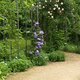 38 Bazylea     Merian Park  Botanischer Garten in Bruglingen AG