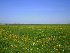 Wiosna - okolice Lubawy