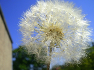 Wiosna - Lubawa