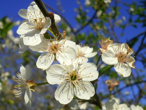 Wiosna - okolice Lubawy