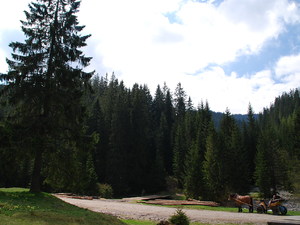 Dolina Chochołowska