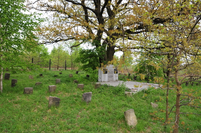 Cmentarz Żydowski w Sierpcu