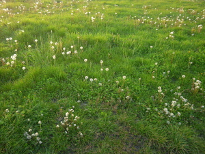 Wiosna - okolice Kozienic