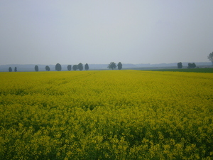 Wiosna - okolice Lubawy