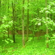 Wiosna - okolice Lubawy