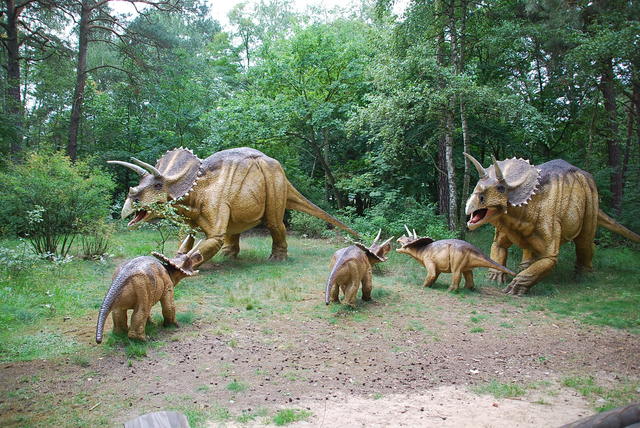 triceratops w stadzie