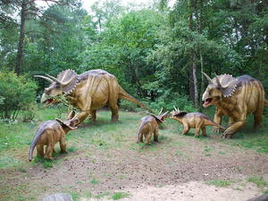 triceratops w stadzie
