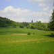 Wiosna - okolice Lubawy