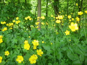 Wiosna - okolice Lubawy