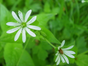 Wiosna - okolice Lubawy