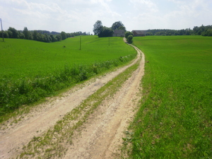 Wiosna - okolice Lubawy
