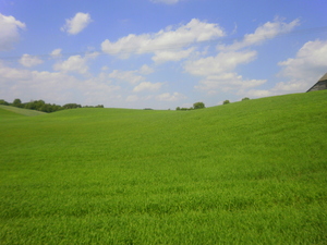 Wiosna - okolice Lubawy