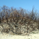 Diuny 07