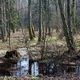 Morskoje 17