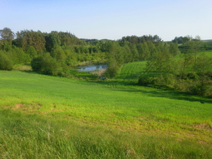Wiosna - okolice Lubawy