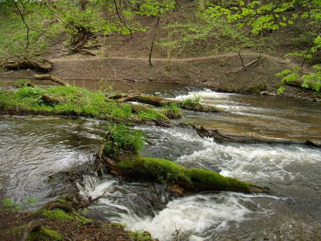 Rezerwat Nad Tanwią
