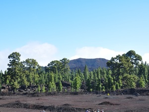 Parque Nacional del Teide 2